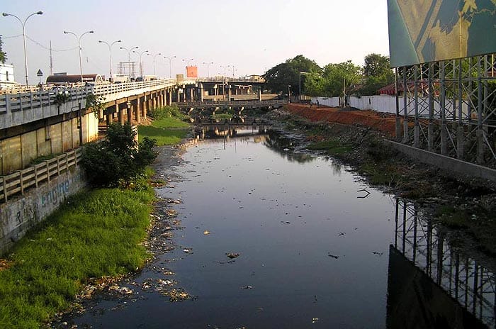 Organic Contaminants Organic Contaminants