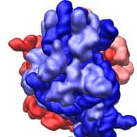 Ribosome Ribosome