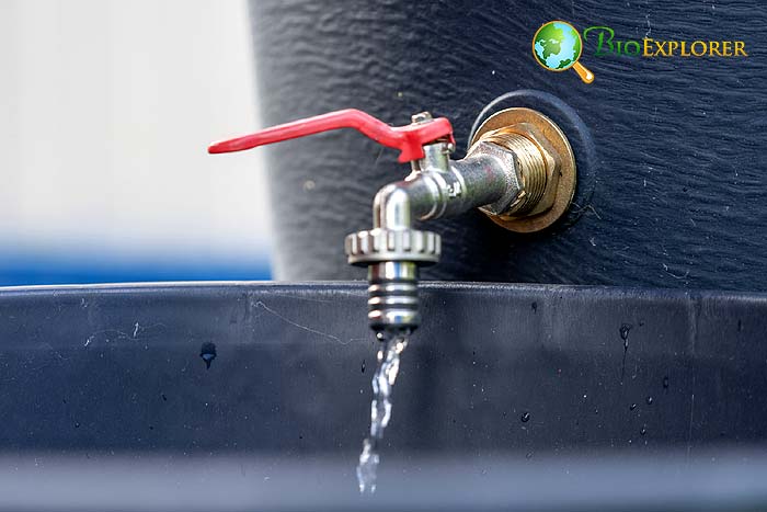 Store Your Rainwater Properly Store Your Rainwater Properly