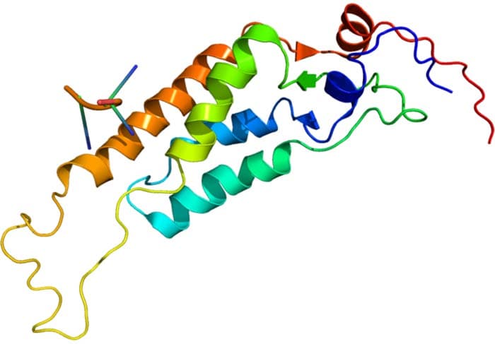 TMV Virus Structure TMV Virus Structure