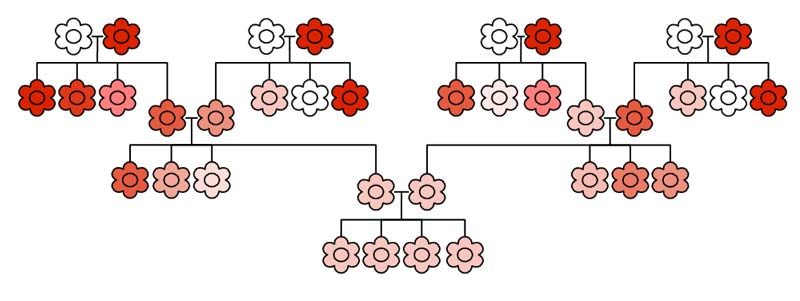 Theory of Inheritance