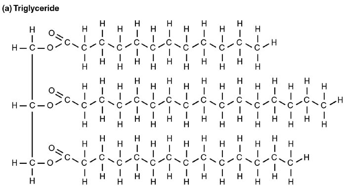 Triglyceride Chemical Formula