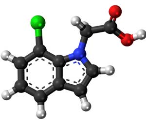 Acetic acid Acetic acid