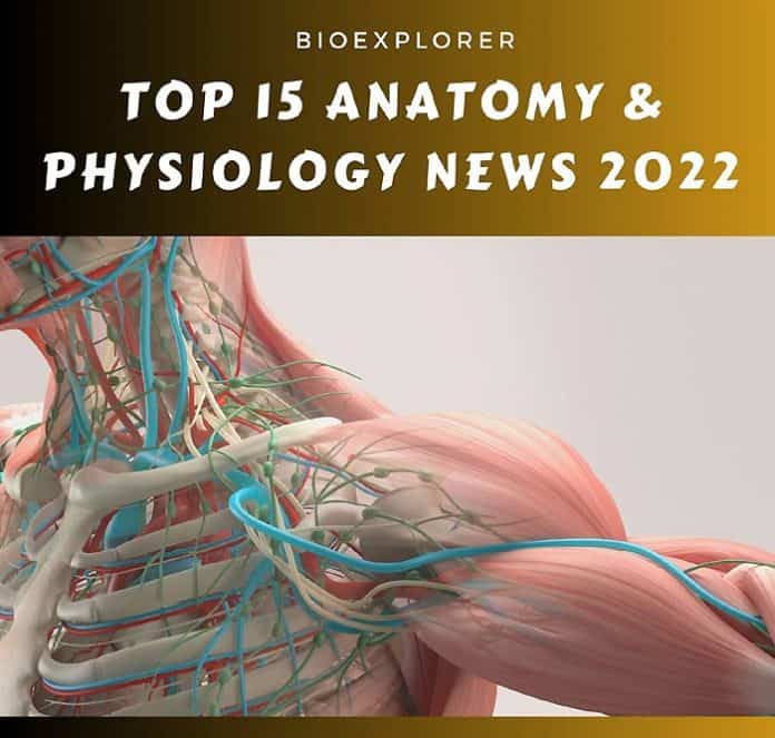 anatomy-physiology-news-2022.jpg