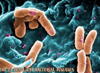 Bacterial Diseases