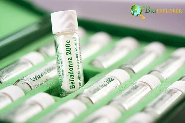 Belladonna Plant Based Medicine Belladonna Plant Based Medicine