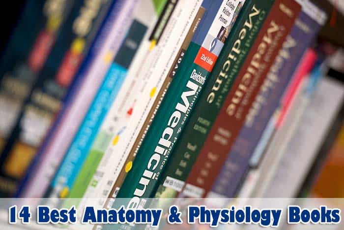 Featured image of post Ross And Wilson Anatomy And Physiology In Health And Illness 11Th Edition A basic anatomy and physiology textbook which is easy to read