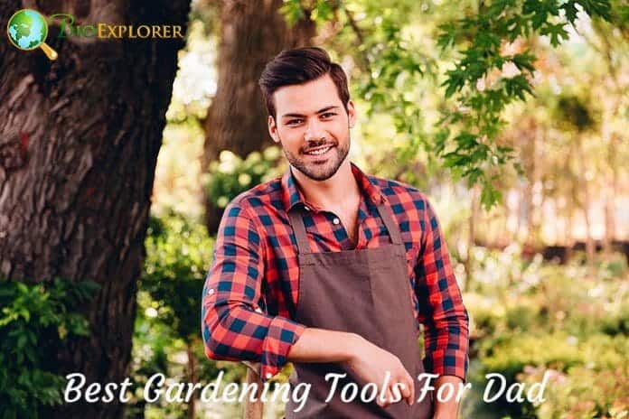 Best Gardening Tools For Dad Best Gardening Tools For Dad
