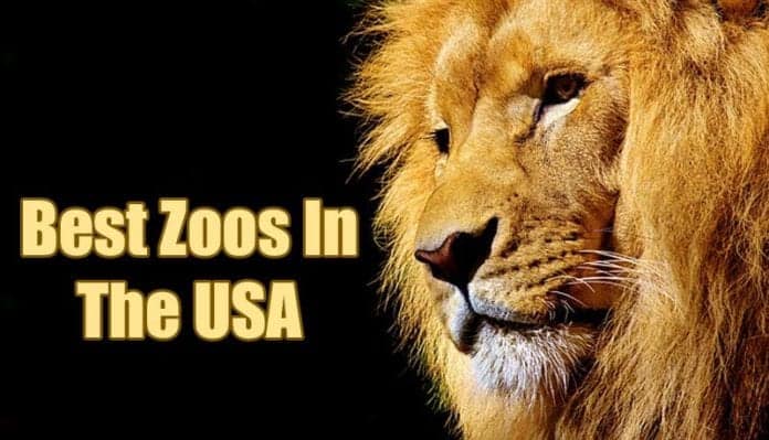 best zoos in the usa best zoos in the usa