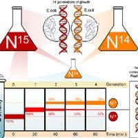 biochemistry