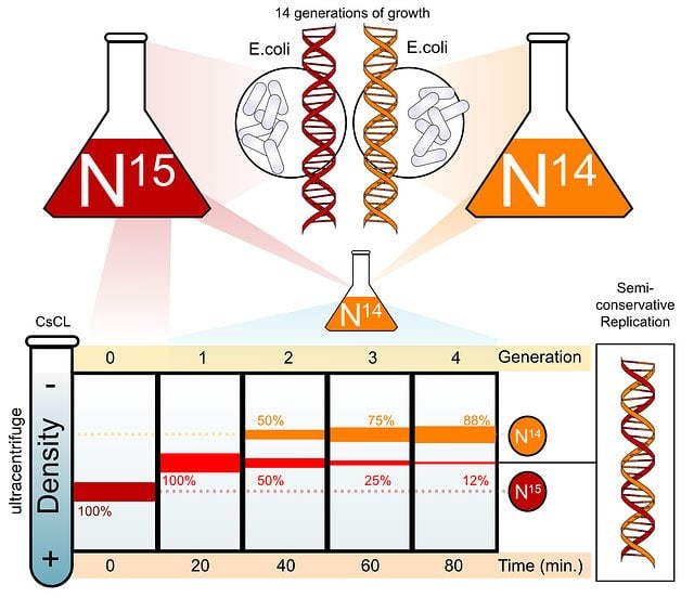 Divisions of Biology: Biochemistry