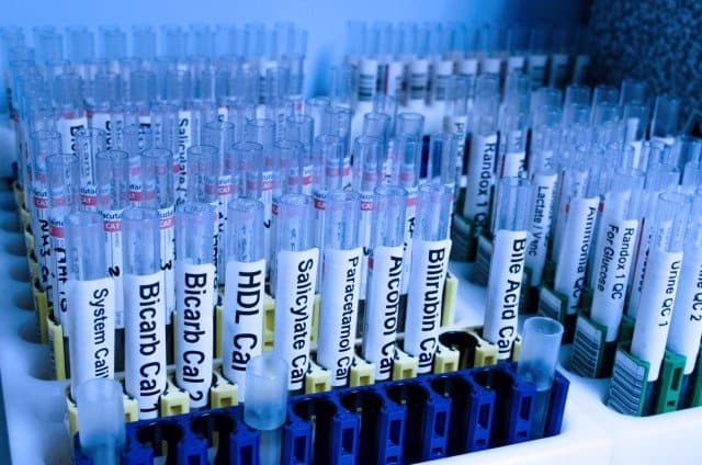 biological databases biological databases