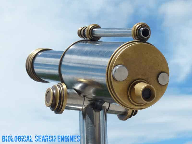 biological search engines biological search engines