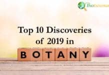 Botany Discoveries in 2019