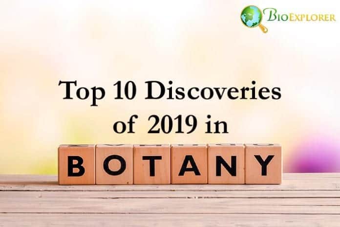 Botany Discoveries in 2019 Botany Discoveries in 2019