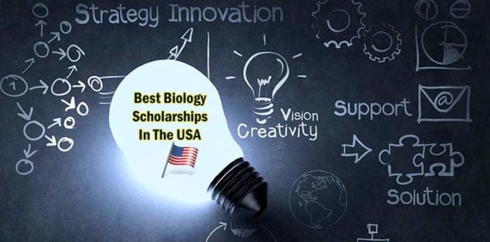 Biology Scholarships Biology Scholarships