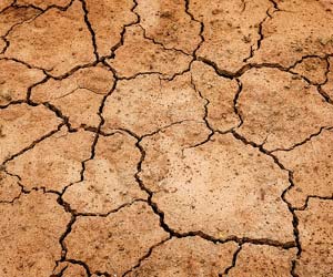 Reduced Soil Potential Reduced Soil Potential