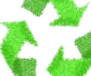 Self-Sufficiency Self-Sufficiency