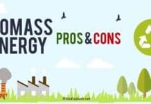 biomass energy pros and cons