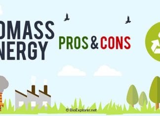 biomass energy pros and cons