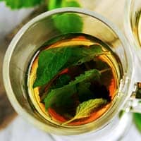 botanist therapeutic uses botanist therapeutic uses