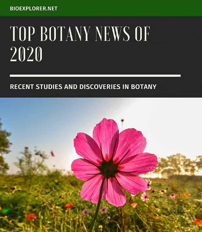 Botany News 2020 Botany News 2020