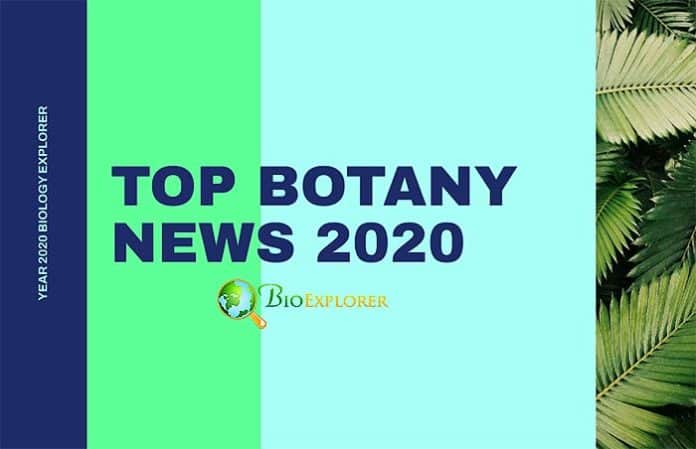 Botany News in 2020 Botany News in 2020