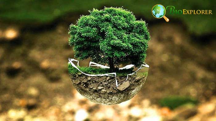 Branches Of Environmental Engineering Branches Of Environmental Engineering