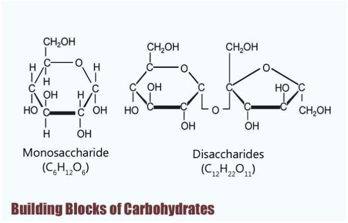 basic carbohydrate chemical structure