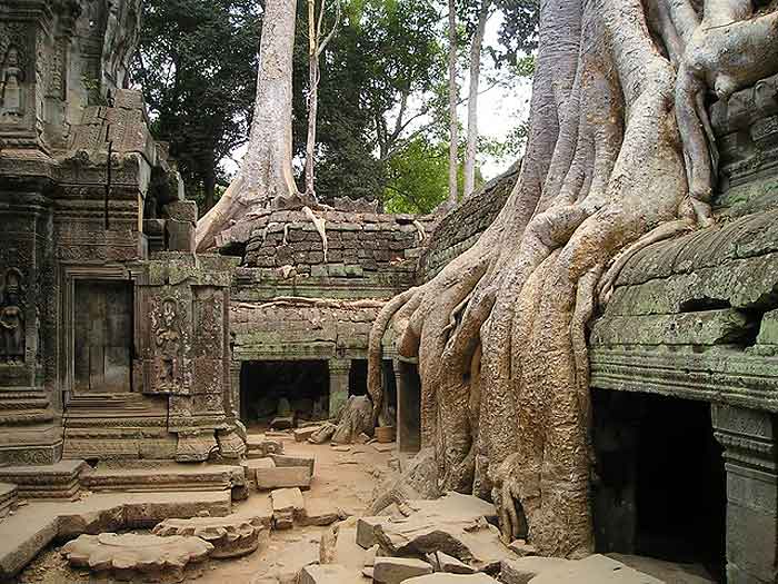 Cambodia Ankor Wat Temple