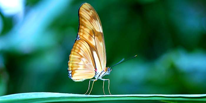 Carbon Cycle Importance: Essential for Life Carbon Cycle Importance: Essential for Life