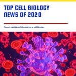 Top Cell Biology News of 2020 – A Round Up Cell Biology News 2020