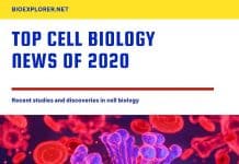 Cell Biology News 2020