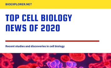 Cell Biology News 2020