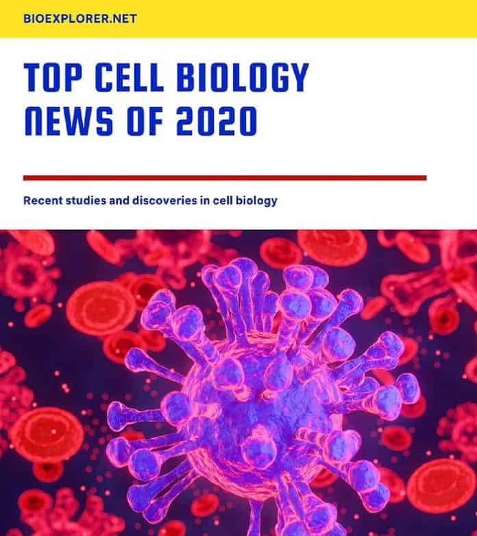 Cell Biology News 2020 Cell Biology News 2020