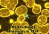 Cell Biology Discoveries in 2019