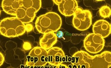 Cell Biology Discoveries in 2019