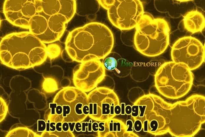 Cell Biology Discoveries in 2019 Cell Biology Discoveries in 2019