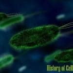 History of Cell Biology