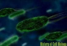 History of Cell Biology History of Cell Biology