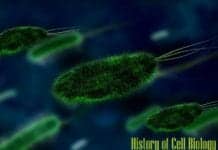 History of Cell Biology