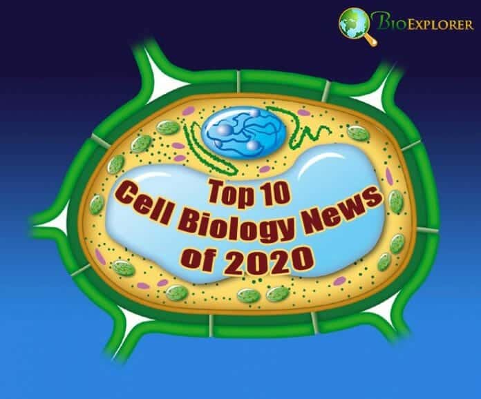 cell-biology-news-2020.jpg