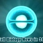 Top 15 Discoveries in Cell Biology for 2018 the history of cell biology worksheet