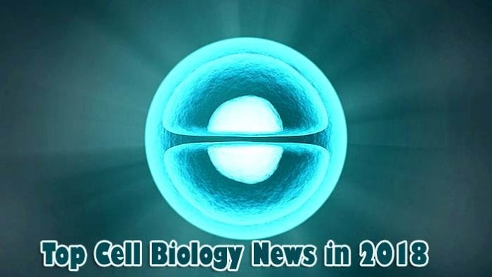 cell biology news in 2018