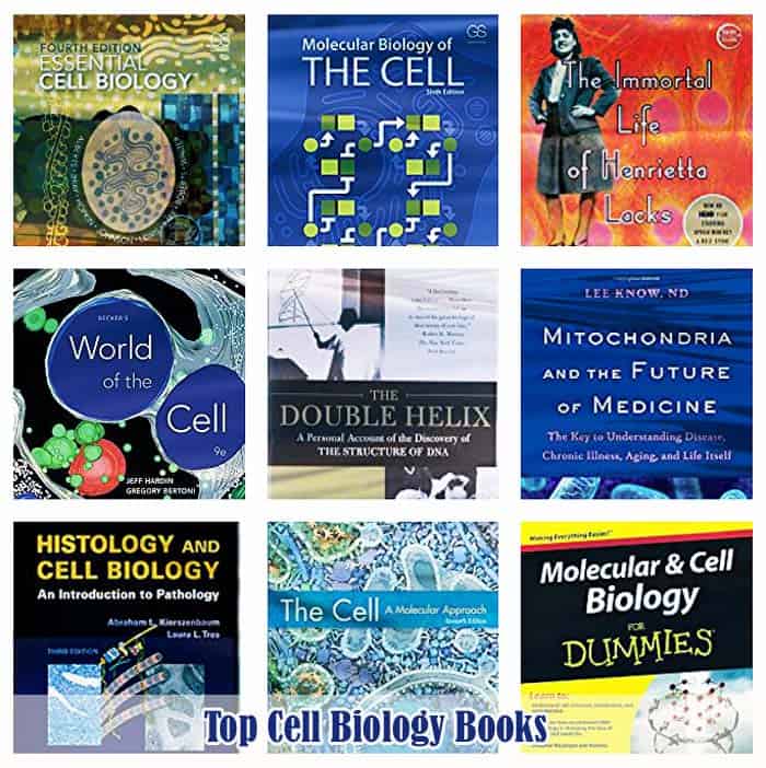 essential cell biology 4th edition pdf essential cell biology 4th edition pdf