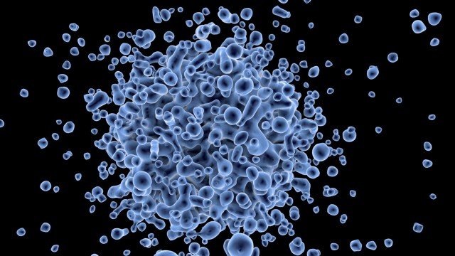 cell biology cell biology