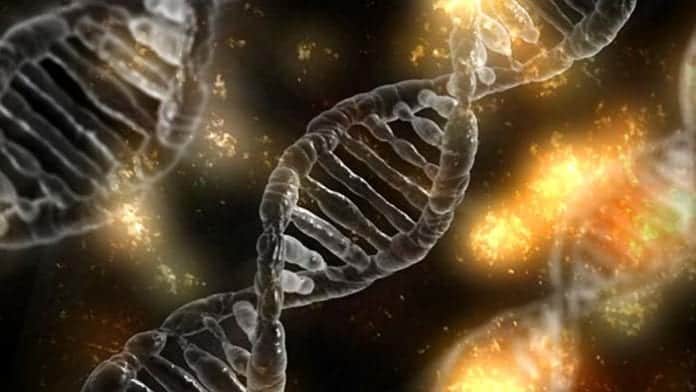 Chromosome Nondisjuction Chromosome Nondisjuction