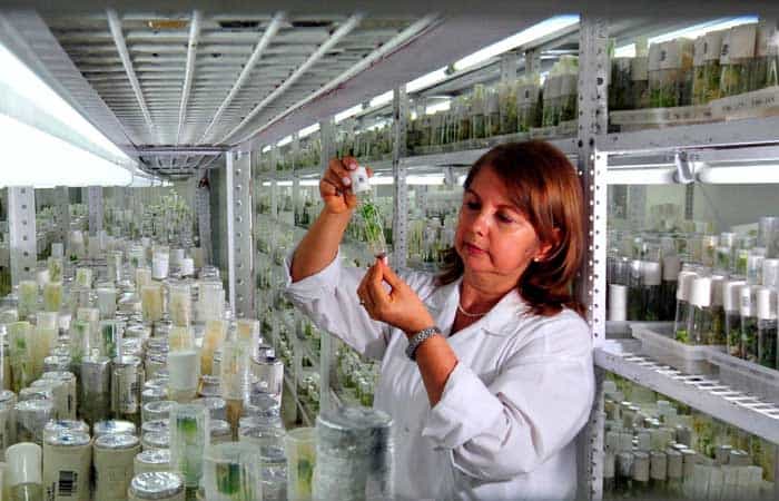 Collect Samples Collect Samples