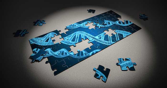 Genetic Disorder Genetic Disorder