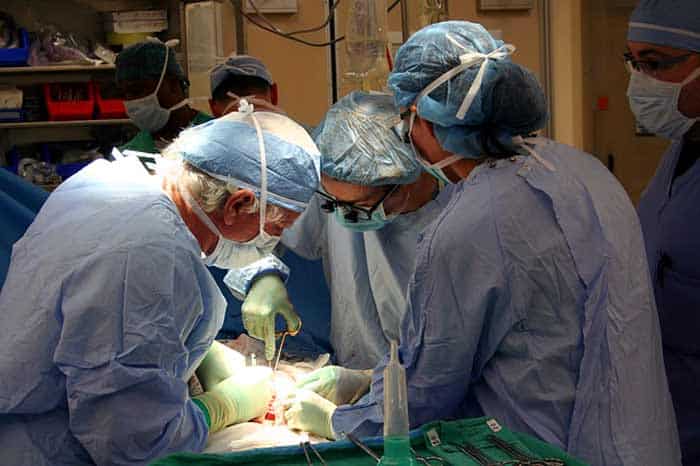 Transplant Rejection Transplant Rejection